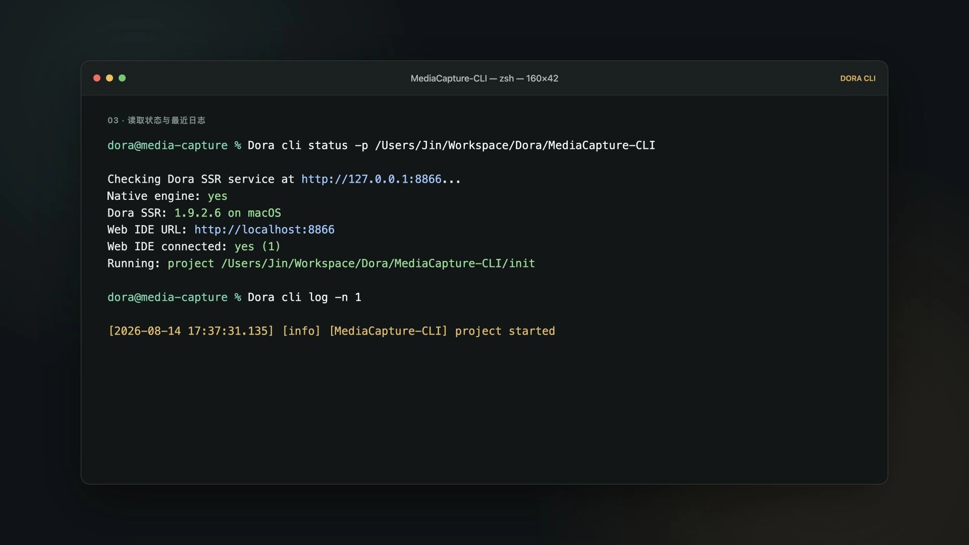 Runtime status and the program's real log output