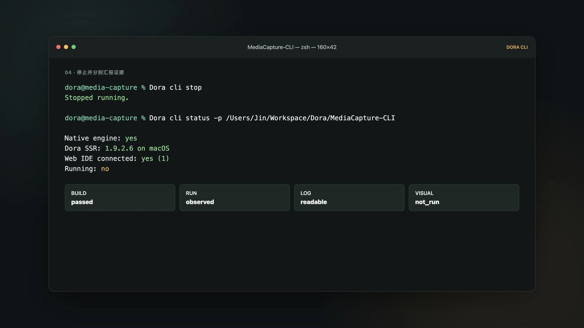 A stopped project and a report that keeps build, run, log, and visual evidence separate