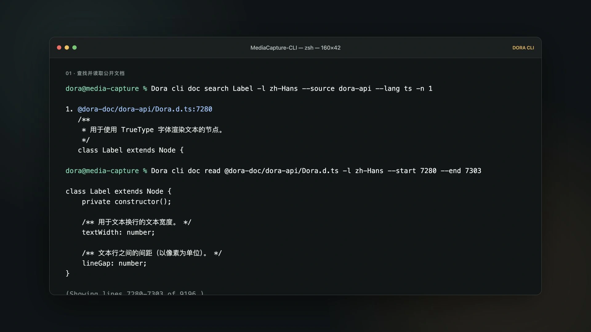 当前 Dora CLI 中一次真实的文档搜索与读取